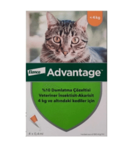 Kedi Ranking Cards Advantage Kedi Ense Damlası